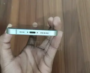 Apple iPhone 12 (Used)