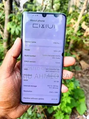 Huawei P30 Pro 8/512 (Used)