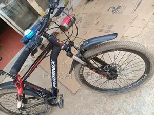 Phoenix Bicycle for sale