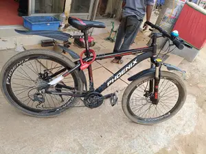 Phoenix Bicycle for sale
