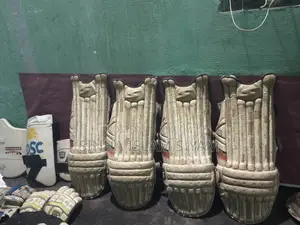 Cricket Instrument
