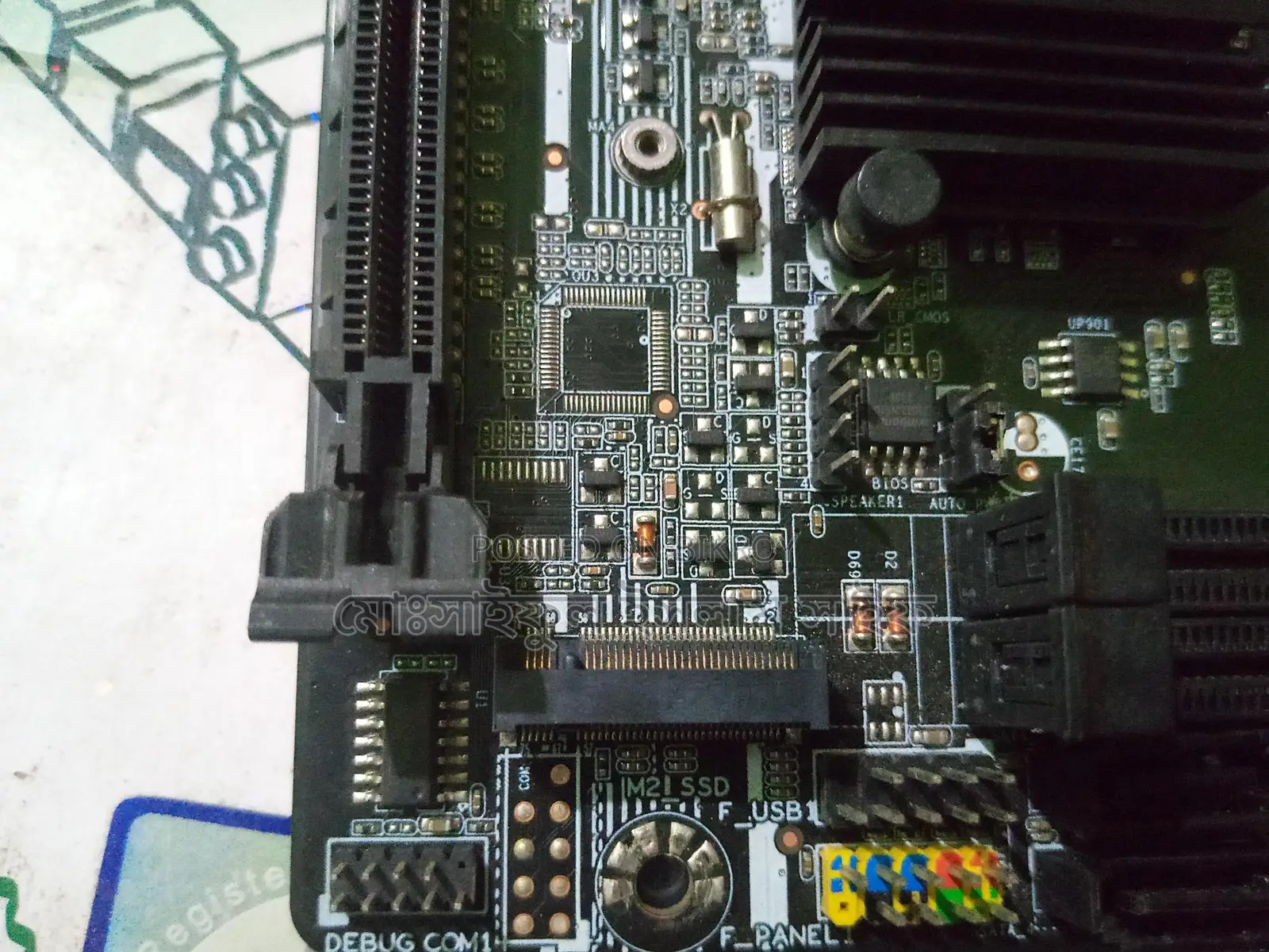 Esonic H61