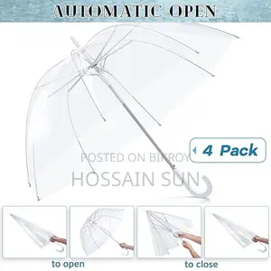 Transparent Umbrella