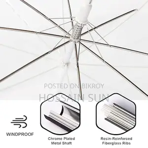 Transparent Umbrella
