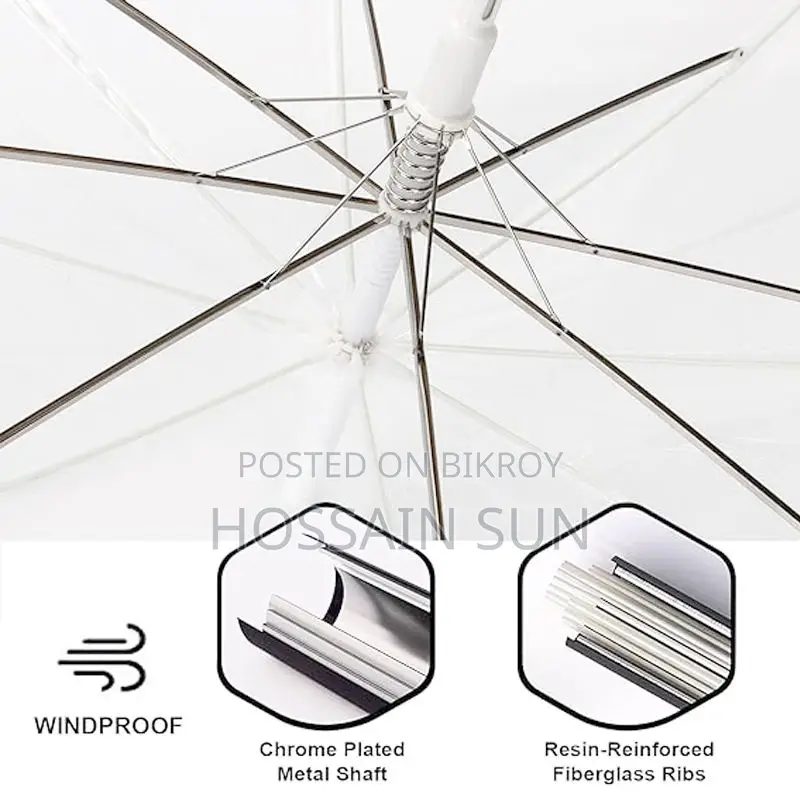 Transparent Umbrella