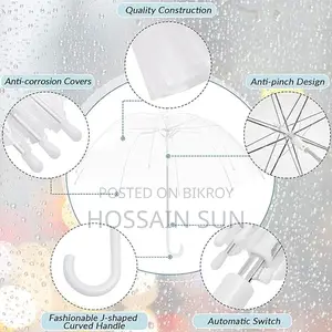 Transparent Umbrella