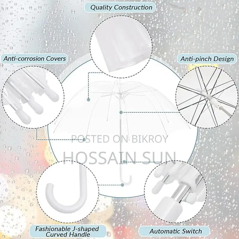 Transparent Umbrella