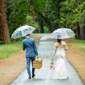 Transparent Umbrella