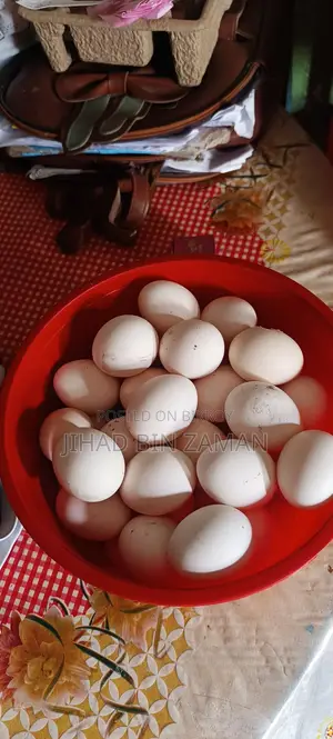 মুরগীর ডিম