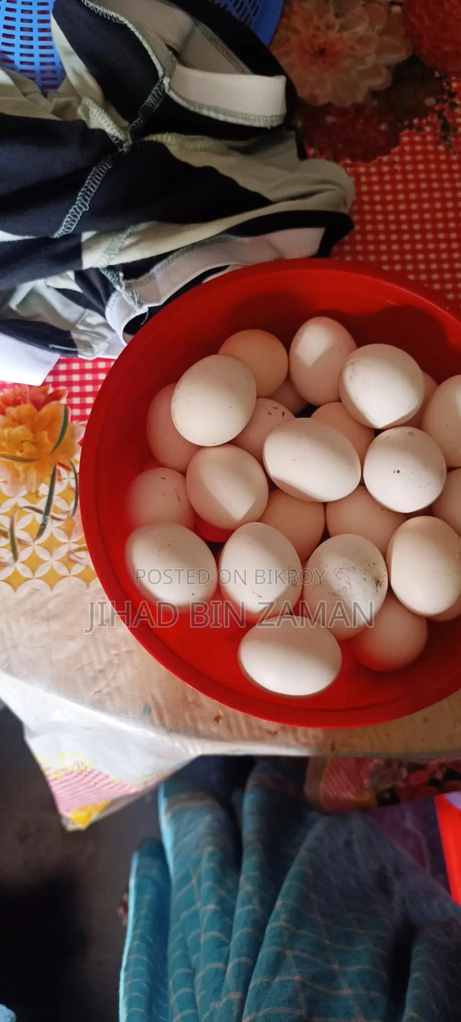 Chicken Eggs