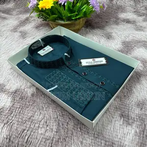 Embroidery Panjabi