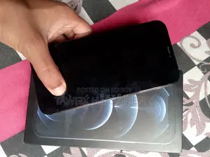 Apple iPhone 12 Pro Max 128gb (Used)