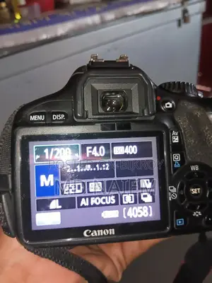 Camera Zoom Lens 55-250