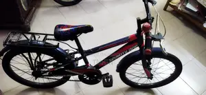 20" Meghna 71 Bicycle for Sale.