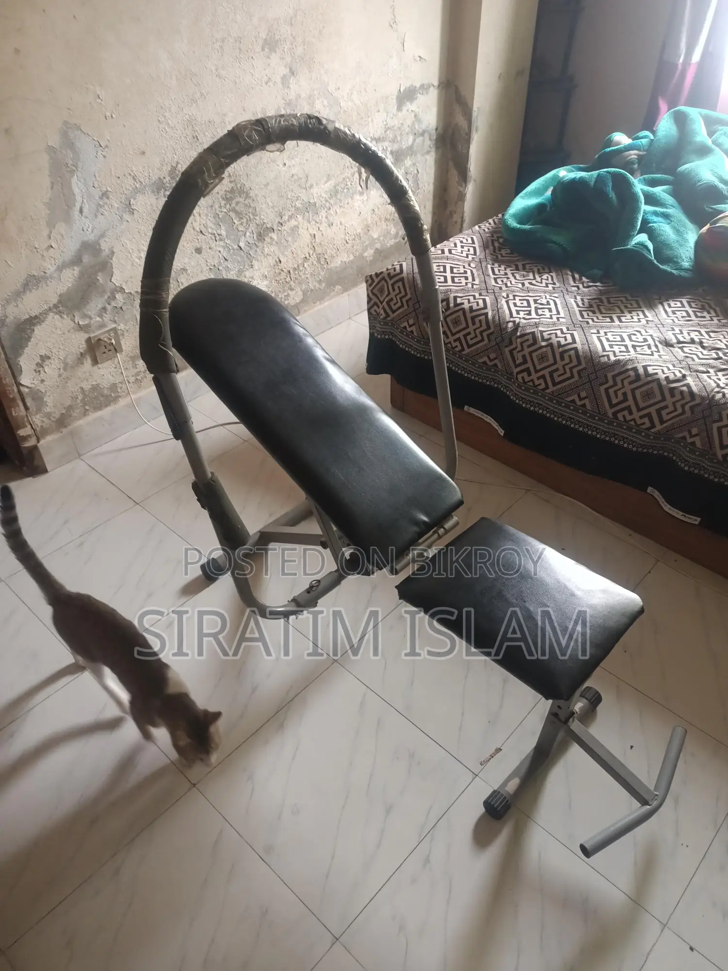Ab King Pro Gym Equipment