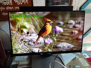 Original DELL Borderless 22 Inch IPS Monitor