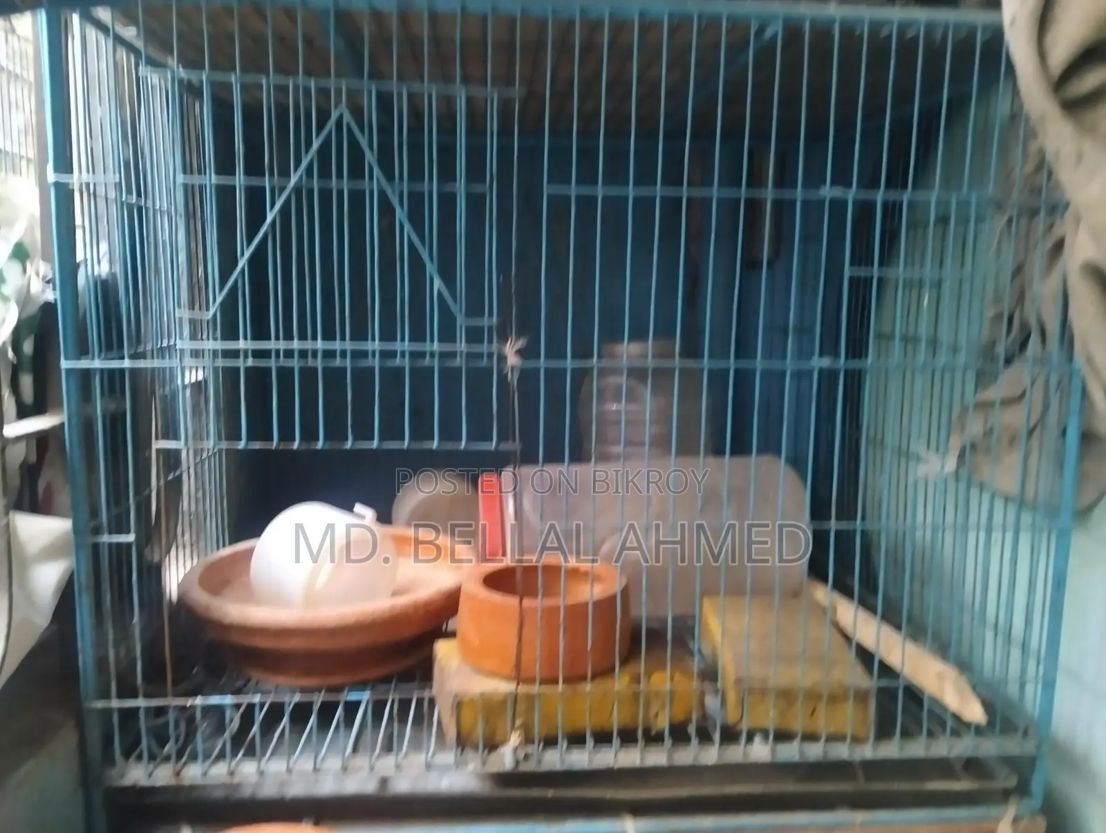 ১৮/২৪ সাইজের খাচা সেল হবে