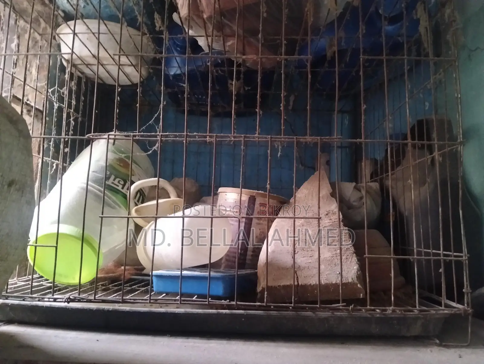 ১৮/২৪ সাইজের খাচা সেল হবে