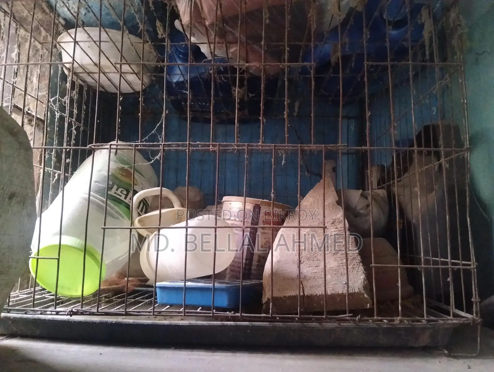 ১৮/২৪ সাইজের খাচা সেল হবে