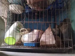 ১৮/২৪ সাইজের খাচা সেল হবে