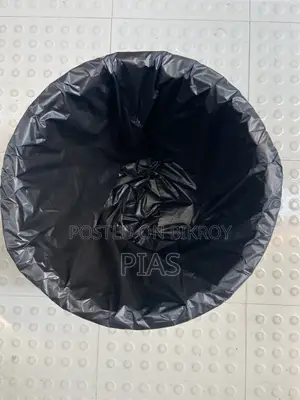 “Mr. Bin” Bin Poly