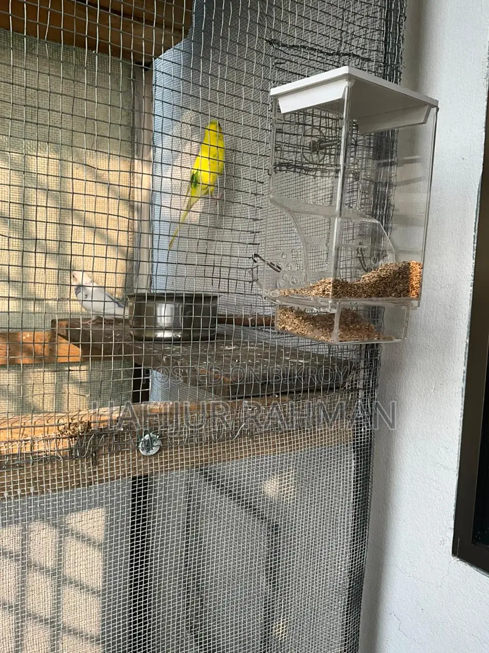 Bird Food Hopper