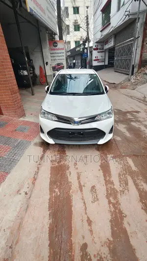 Toyota Axio HYBRID EX-PACKAGE 2020