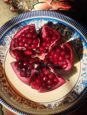 Pomegranate Tree