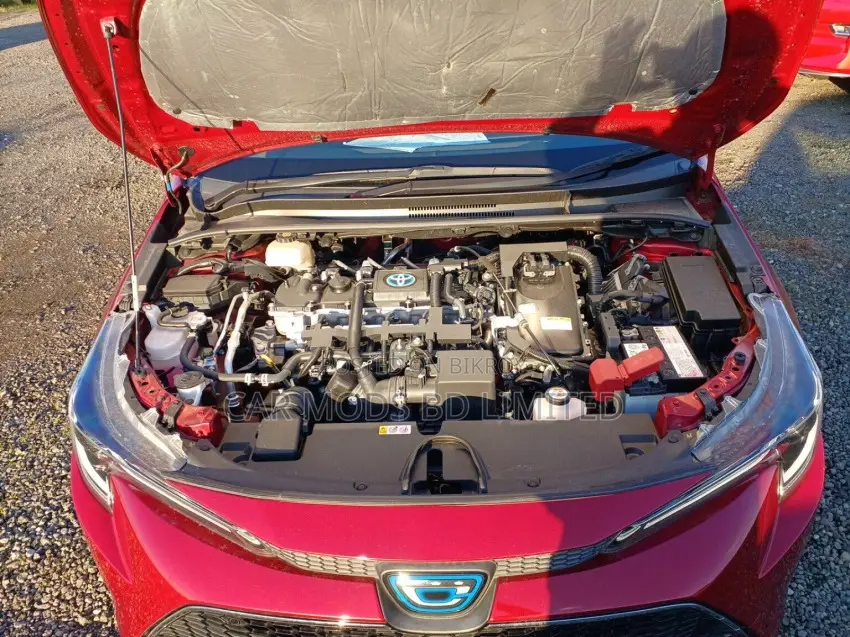 Toyota Corolla Touring WxB 2021