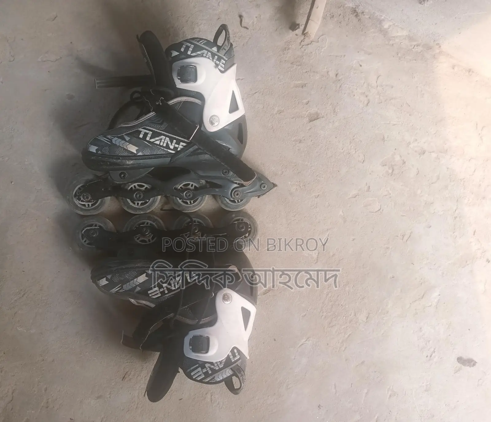 Skating Shoe