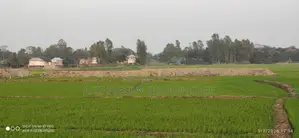 ২১.৫ শতাংশ জমি বিক্রি