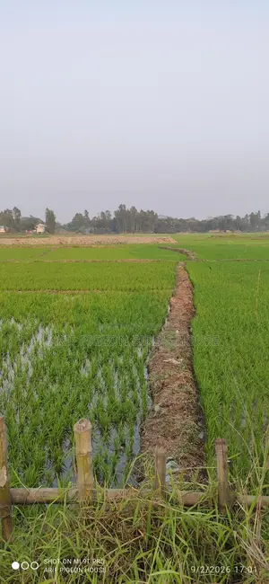 21.5 Decimal Land for Sale