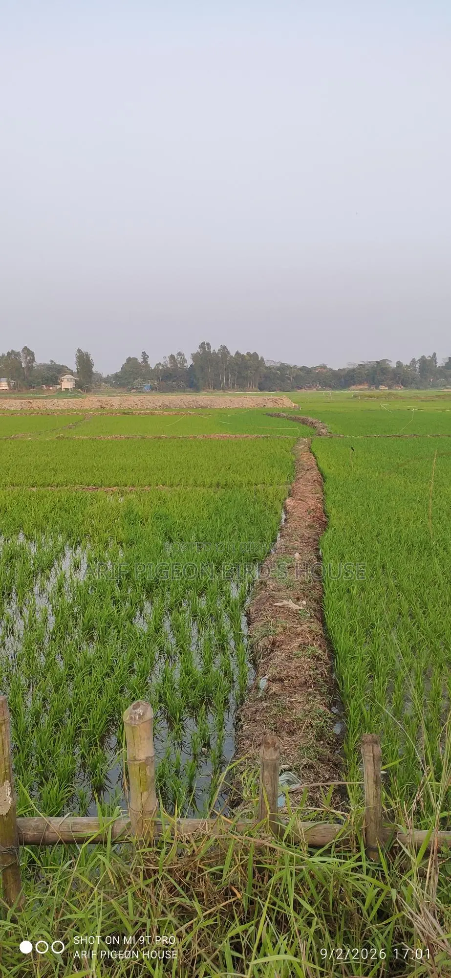 21.5 Decimal Land for Sale