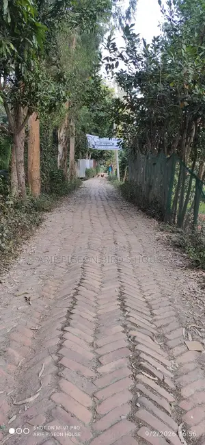 21.5 Decimal Land for Sale