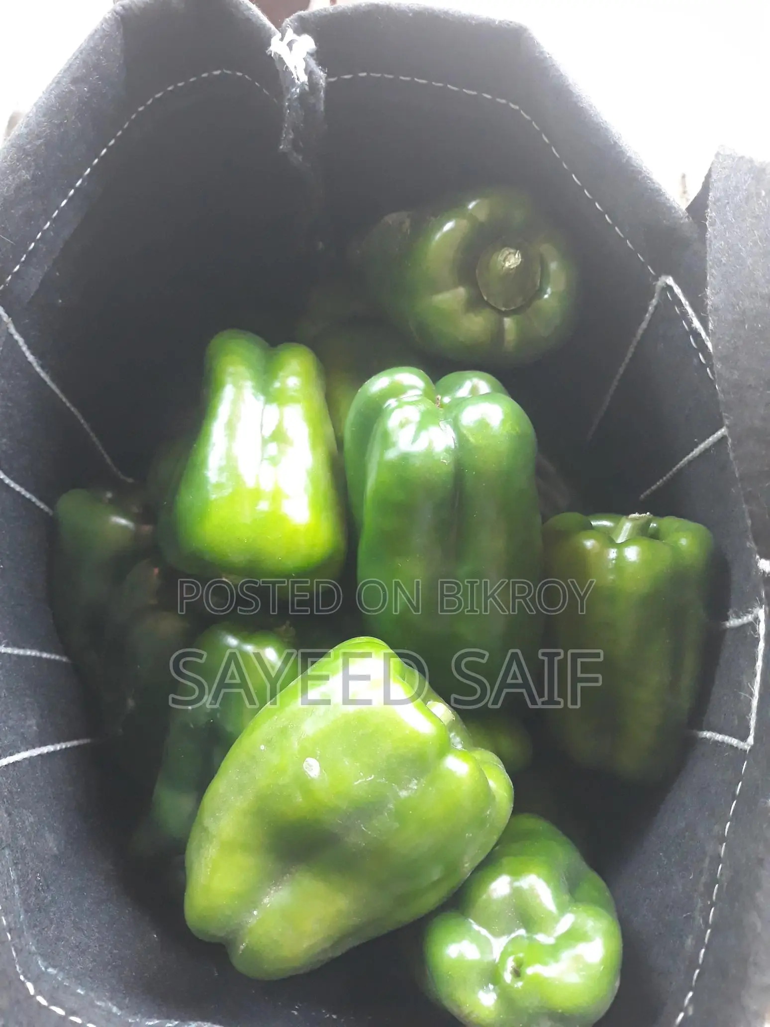 Capsicum for Sale