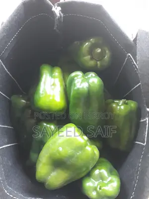 Capsicum for Sale