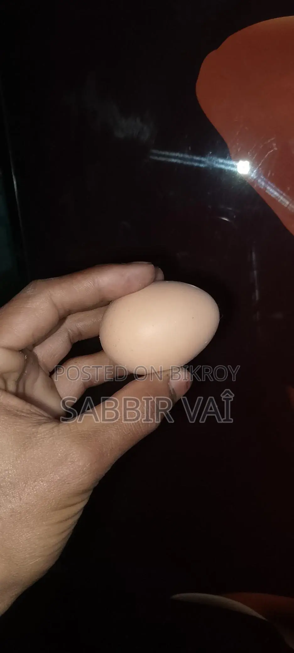 ব্রাহমা মুরগির 20-ডিম