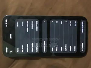 Apple iPhone 12 Pro Max (Used)