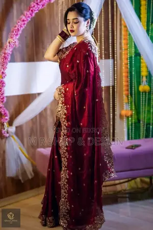An Extraordinary Saree