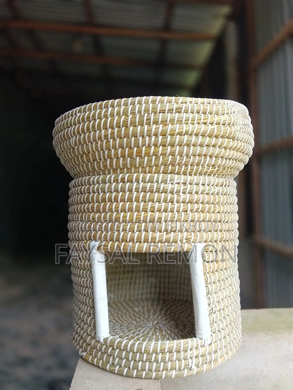 বিড়ালের ডাবল হাউজ
