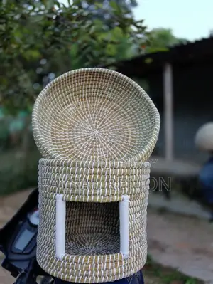 বিড়ালের ডাবল হাউজ