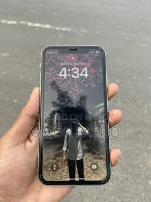 Apple iPhone 11 (Used)