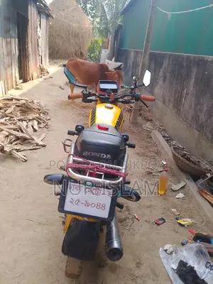 Honda Hornet, 2006