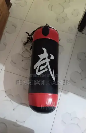 Home Gym + Boxing Practice Set for Sale