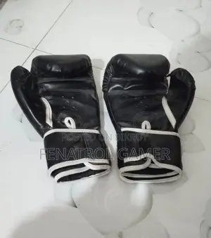 Home Gym + Boxing Practice Set for Sale