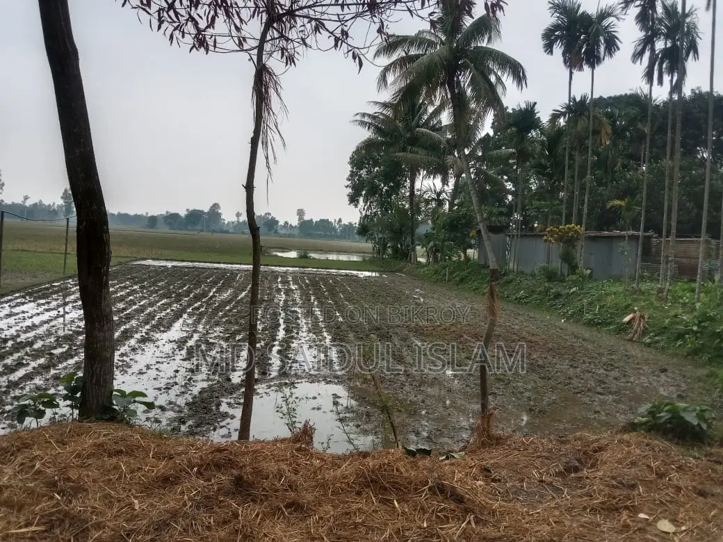 Single Plot Land