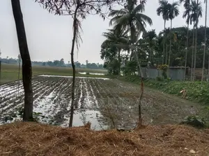Single Plot Land