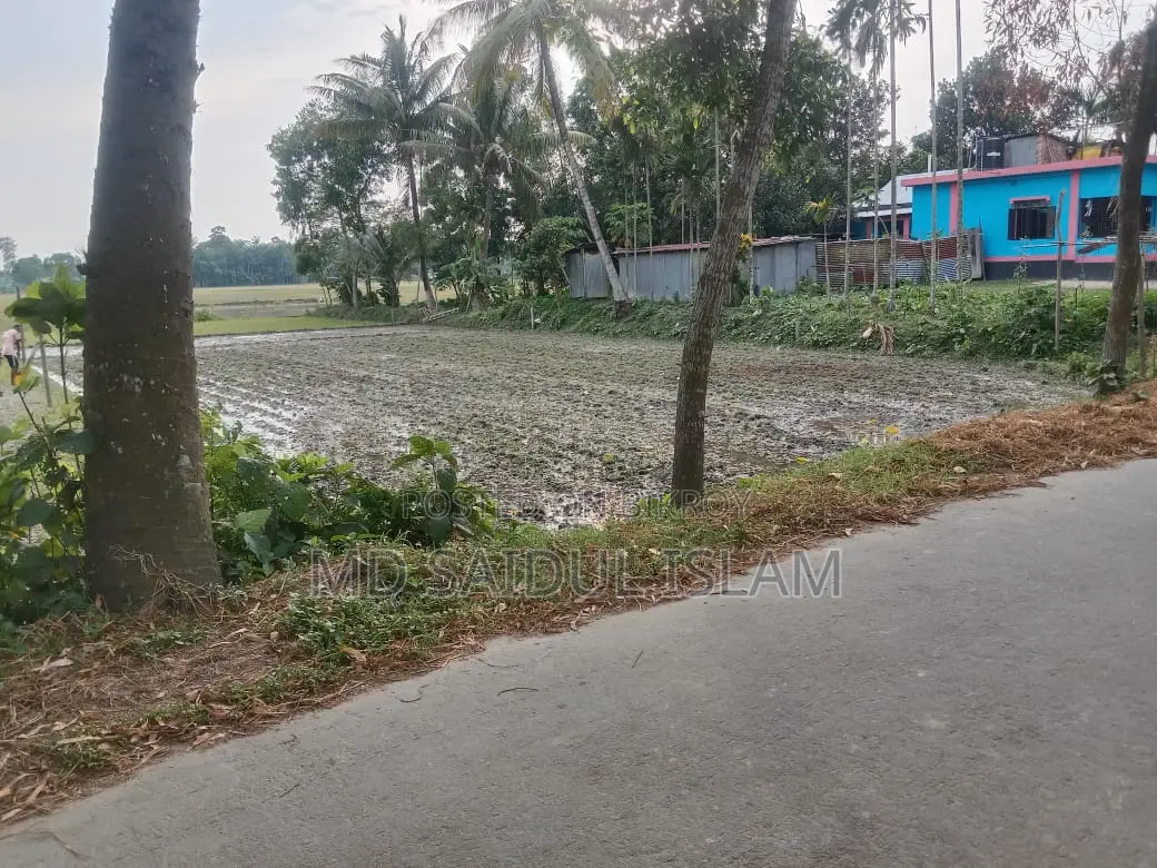 Single Plot Land