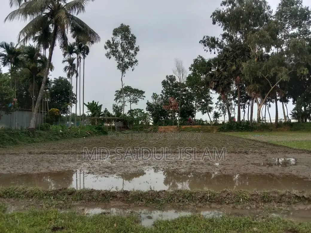 Single Plot Land