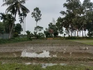 Single Plot Land